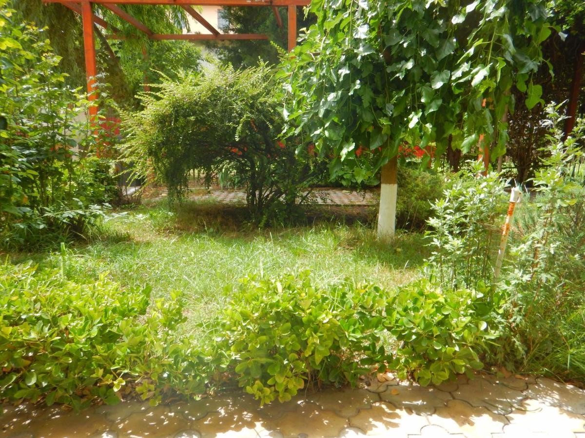 فندق Casa Paloma كوستِنيست المظهر الخارجي الصورة